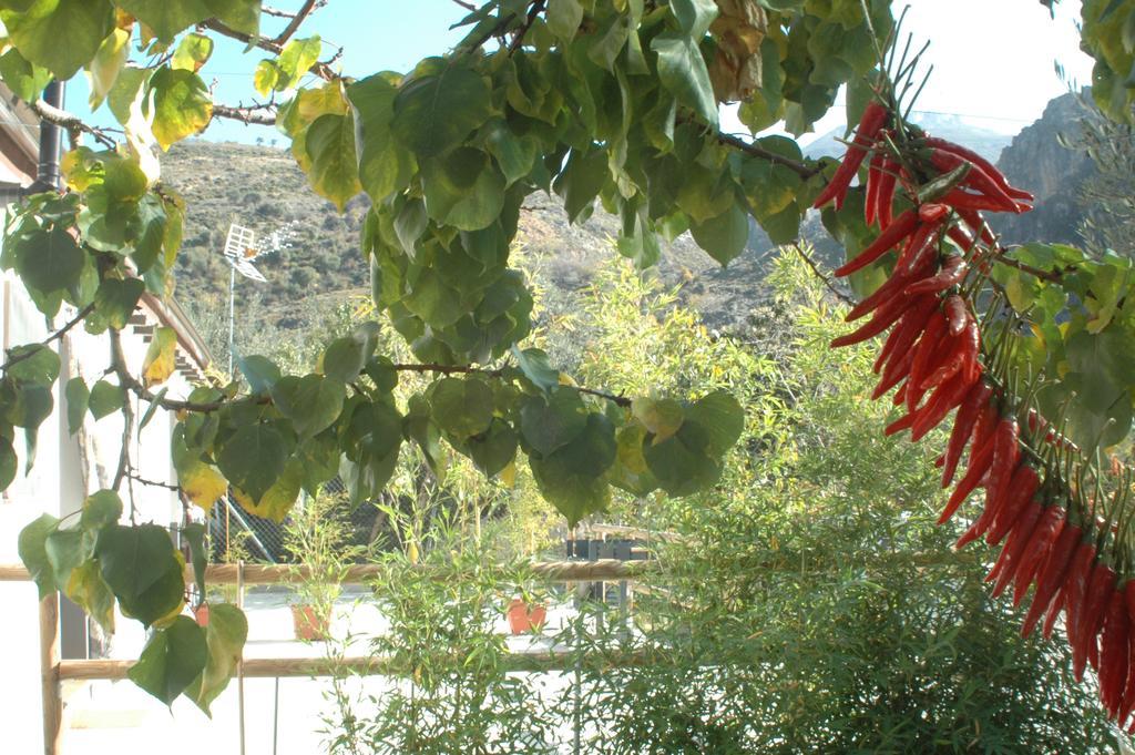 Cortijo Los Cahorros Sierra Nevada Monachil Exteriör bild
